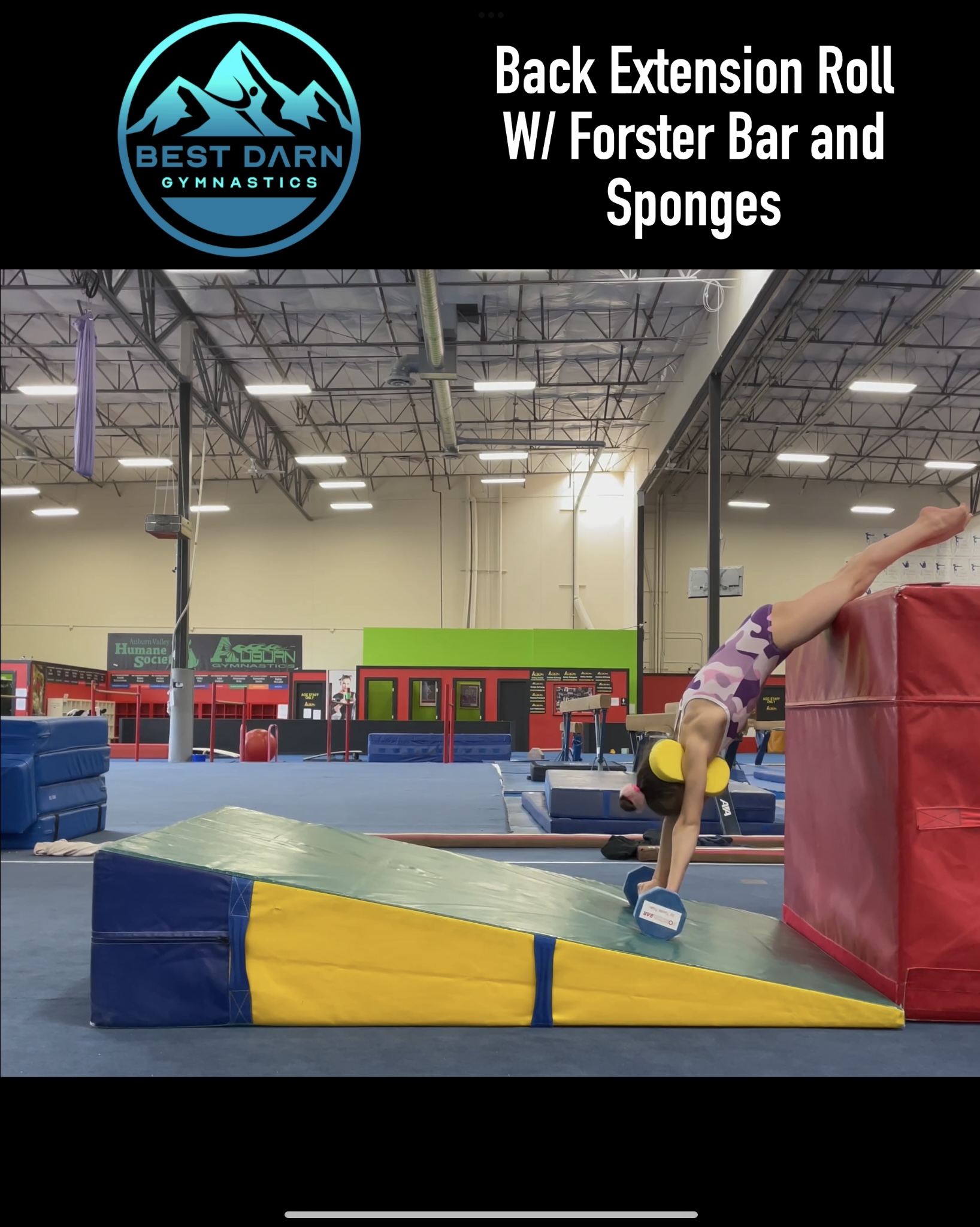 Back Extension Rolls wForster Bar and Sponges - Best Darn Gymnastics