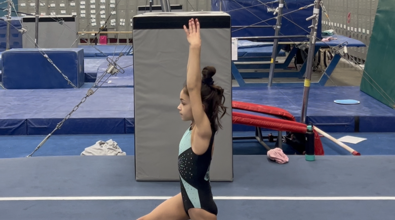 slider splits, splits, gymnastics, flexibility