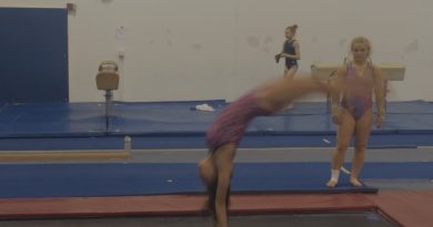 gymnastics, whip, tumbling