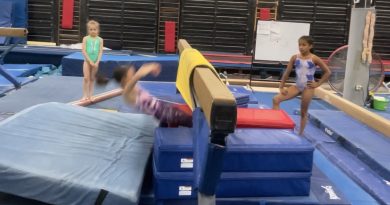 gymnastics, vault, blocking, lever up, flip