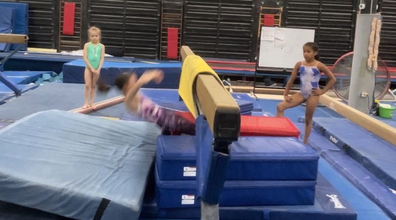 gymnastics, vault, blocking, lever up, flip