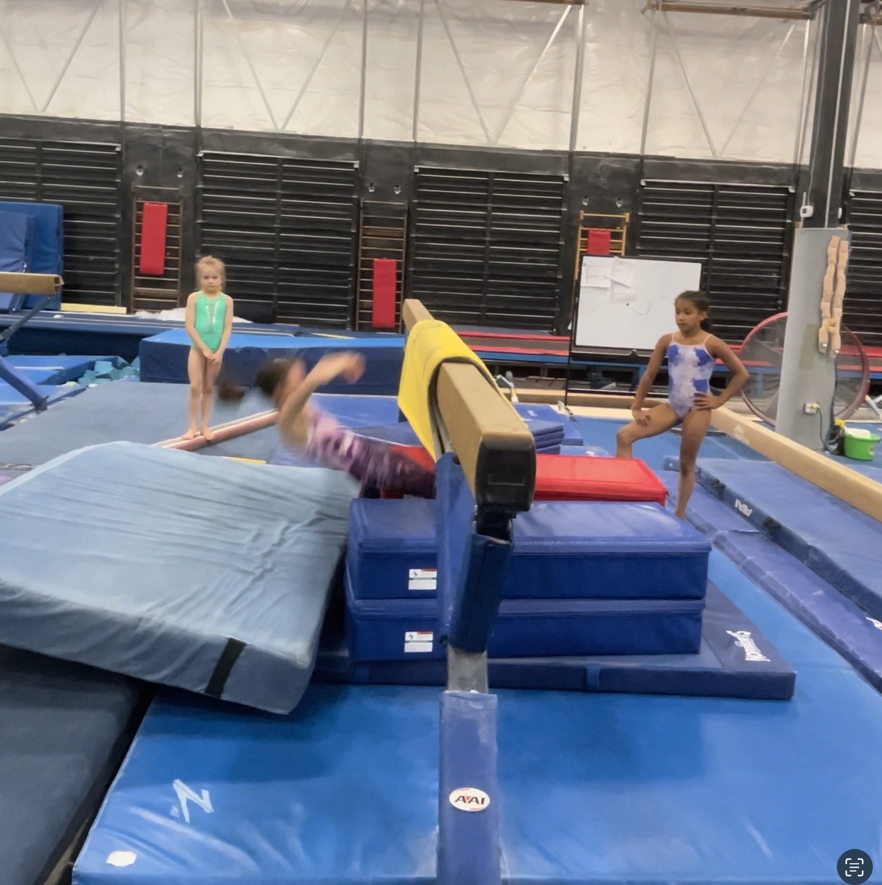 Lever Snap ups Best Darn Gymnastics