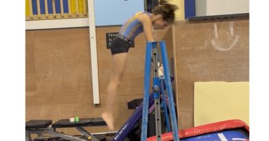 gymnastics, t-trainer, circles, clearhips, freehips