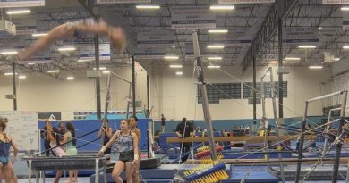 gymnastics, bars, double layout