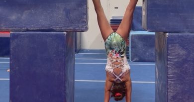 gymnastics, bars, pirouette, handstand