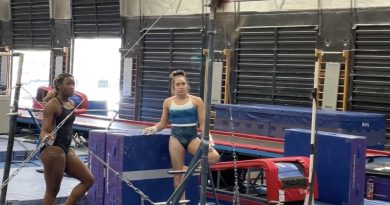 gymnastics, technique, double layout, bars, dismount