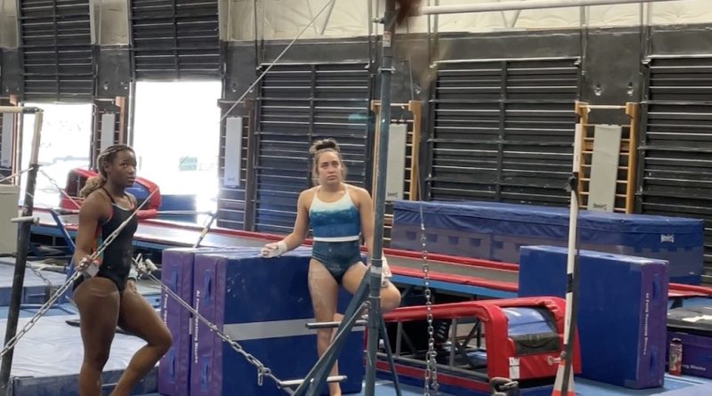 gymnastics, technique, double layout, bars, dismount