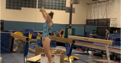 gymnastics, tumbl trak, air floor pro, tumbling