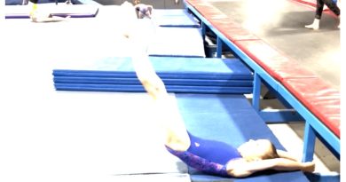 gymnastics, conditioning, strength, levers