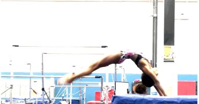 gymnastics, uphill back handspring, vault, tumbling, yurchenko